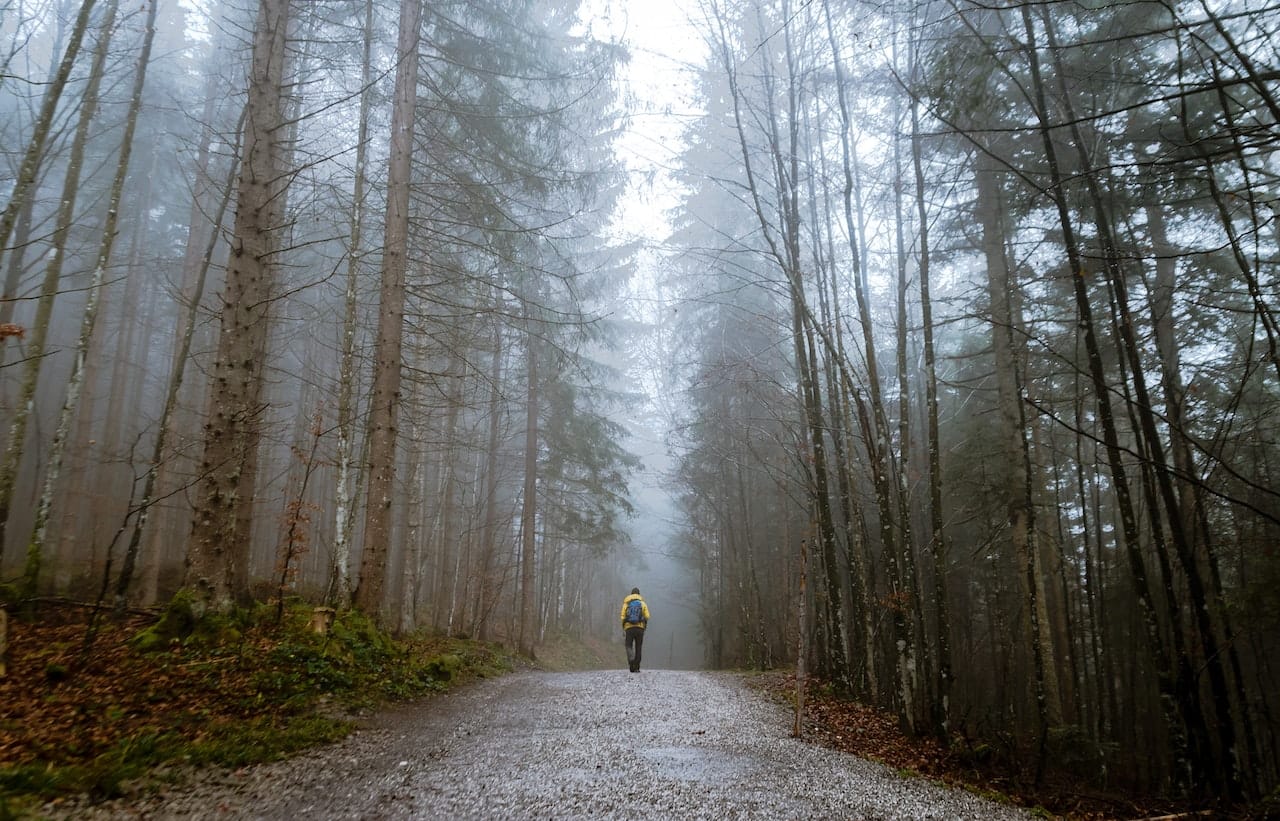 Person walking in forest deciding to get ADHD treatment in Washington.