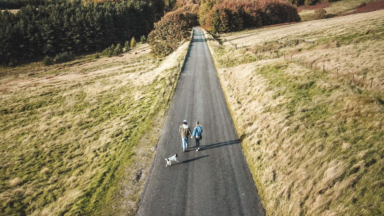Man, woman, and dog walking on a road outside Seattle. 