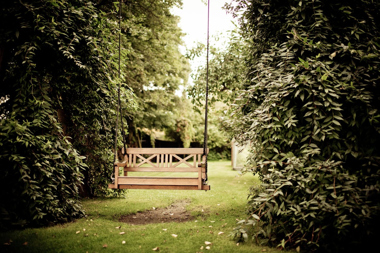 Gazebo Against Trees to Cope With Anxiety During Times of Uncertainty