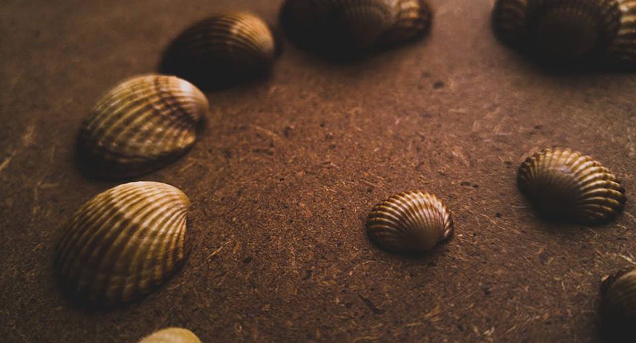 Assorted Seashell on Sand representing perfectionism