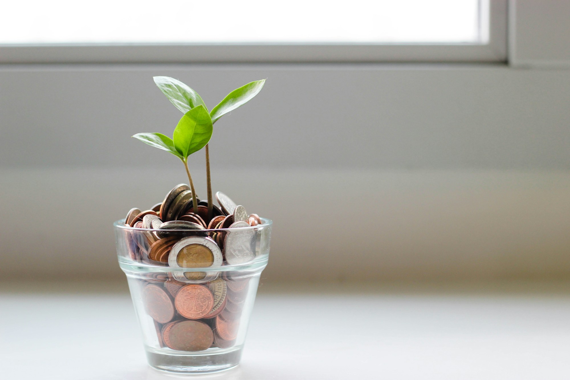 Glass potted plant filled with coins representing the discussion about money and mental health.