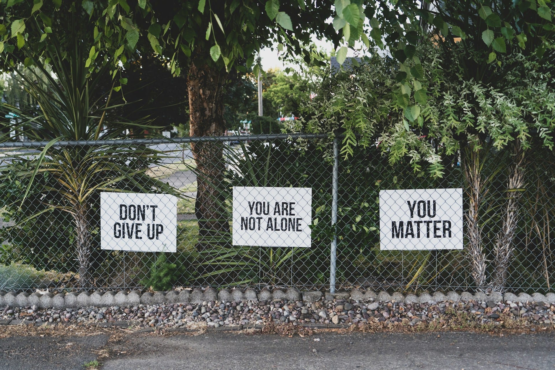 Signs on a metal fence that say, don't give up, you are not alone, and you matter, representing the conversation surrounding LGBTQ mental health statistics.