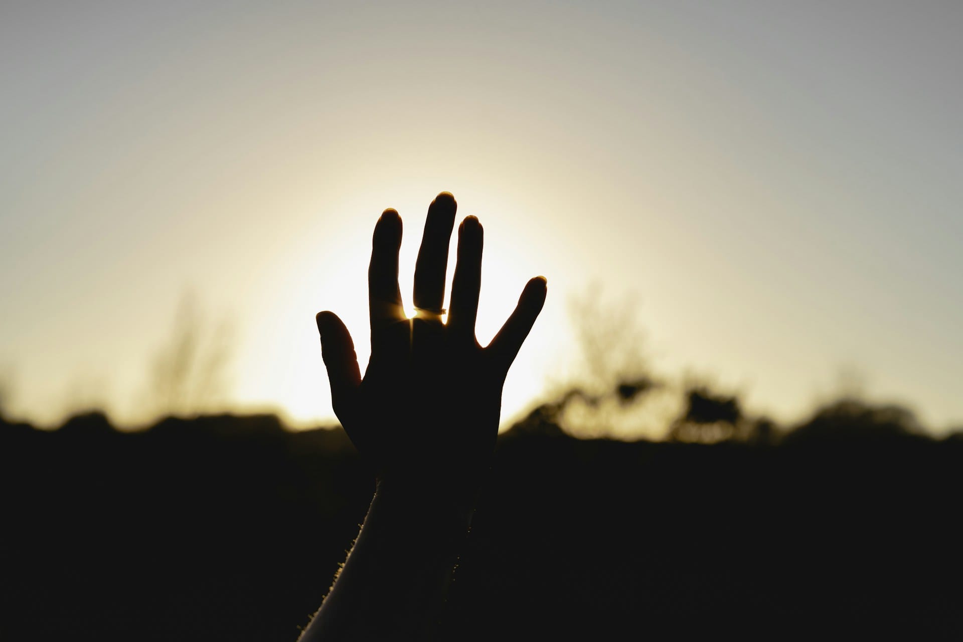 A hand reaching to the sun representing existential psychotherapy.
